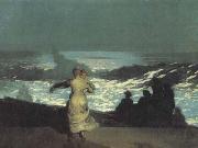 Winslow Homer A Summer Night (san39) china oil painting reproduction